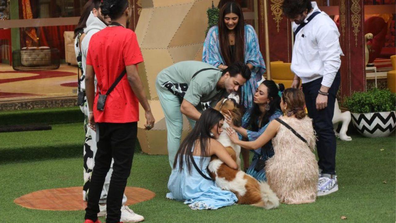 What is amusing is the adorable conversation that the housemates have with Maahim. It will be exciting to see what ‘Bigg Boss’ has in store for the housemates for the rest of the week. 